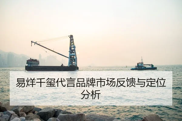 易烊千玺代言品牌市场反馈与定位分析